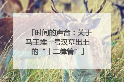 时间的声音：关于马王堆一号汉墓出土的“十二律管”