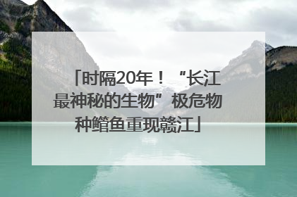 时隔20年！“长江最神秘的生物”极危物种鳤鱼重现赣江