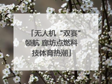 无人机“双赛”领航 廊坊点燃科技体育热潮