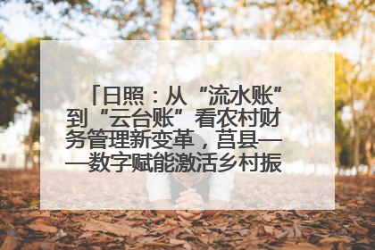 日照：从“流水账”到“云台账”看农村财务管理新变革，莒县——数字赋能激活乡村振兴“一池春水”