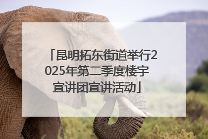昆明拓东街道举行2025年第二季度楼宇宣讲团宣讲活动