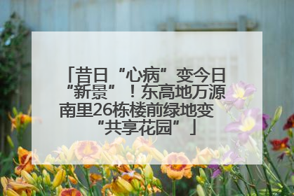 昔日“心病”变今日“新景”！东高地万源南里26栋楼前绿地变“共享花园”