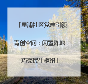 星浦社区党建引领青创空间：闲置阵地巧变民生枢纽