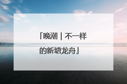 晚潮｜不一样的新塘龙舟