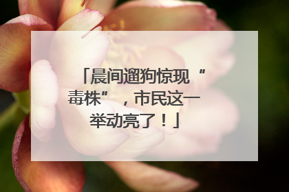 晨间遛狗惊现“毒株”，市民这一举动亮了！