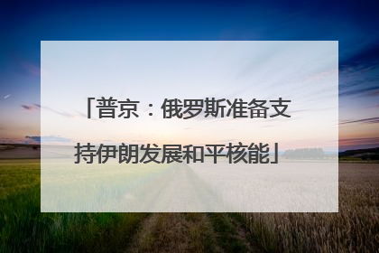 普京：俄罗斯准备支持伊朗发展和平核能