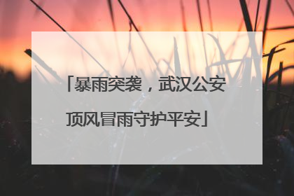 暴雨突袭，武汉公安顶风冒雨守护平安