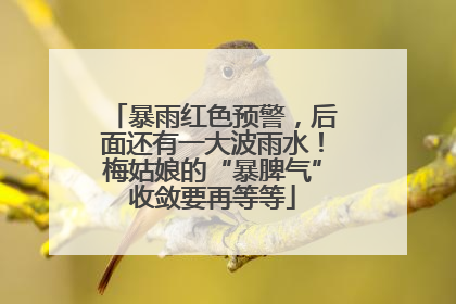 暴雨红色预警，后面还有一大波雨水！梅姑娘的“暴脾气”收敛要再等等