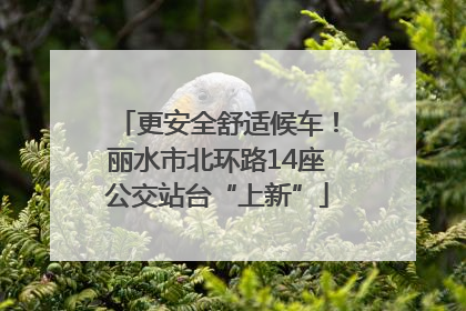 更安全舒适候车！丽水市北环路14座公交站台“上新”