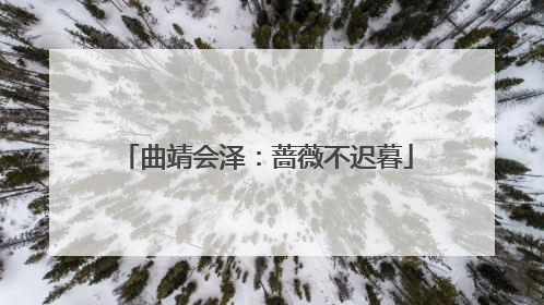 曲靖会泽：蔷薇不迟暮
