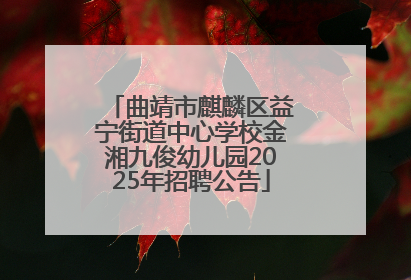 曲靖市麒麟区益宁街道中心学校金湘九俊幼儿园2025年招聘公告