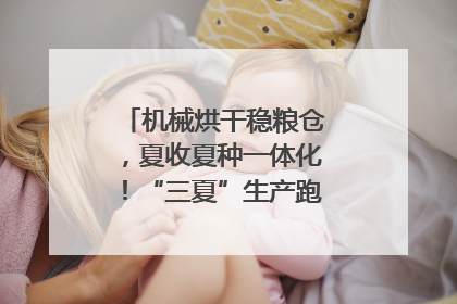 机械烘干稳粮仓，夏收夏种一体化！“三夏”生产跑出加速度｜麦报