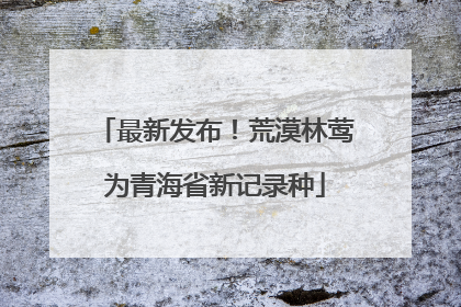最新发布！荒漠林莺为青海省新记录种