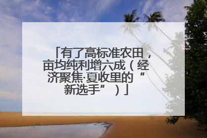 有了高标准农田，亩均纯利增六成（经济聚焦·夏收里的“新选手”）