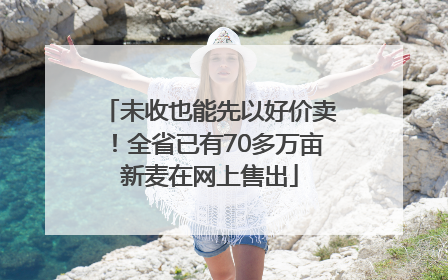 未收也能先以好价卖！全省已有70多万亩新麦在网上售出
