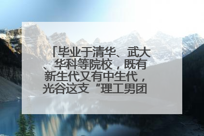毕业于清华、武大、华科等院校，既有新生代又有中生代，光谷这支“理工男团”为何“出道”？
