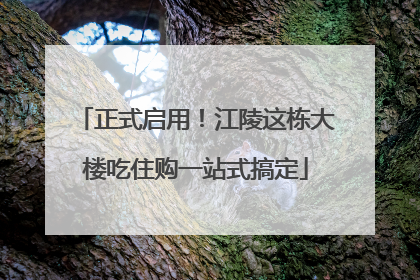 正式启用！江陵这栋大楼吃住购一站式搞定