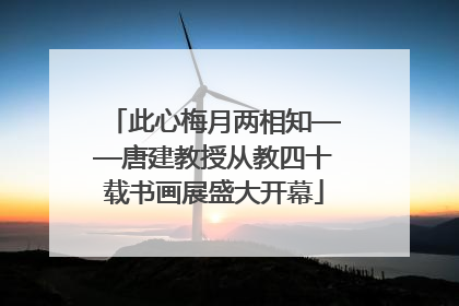此心梅月两相知——唐建教授从教四十载书画展盛大开幕