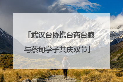 武汉台协携台商台胞与蔡甸学子共庆双节