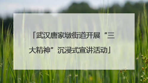 武汉唐家墩街道开展“三大精神”沉浸式宣讲活动
