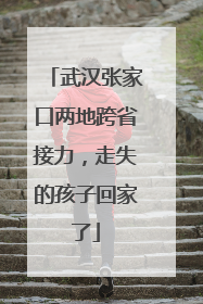 武汉张家口两地跨省接力，走失的孩子回家了