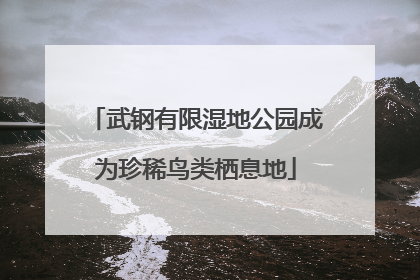 武钢有限湿地公园成为珍稀鸟类栖息地
