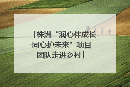 株洲“润心伴成长·同心护未来”项目团队走进乡村