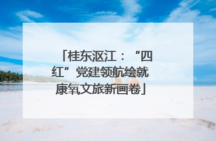 桂东沤江：“四红”党建领航绘就康氧文旅新画卷