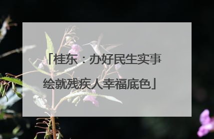 桂东：办好民生实事 绘就残疾人幸福底色