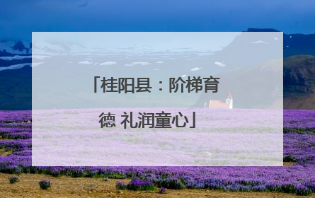 桂阳县：阶梯育德 礼润童心