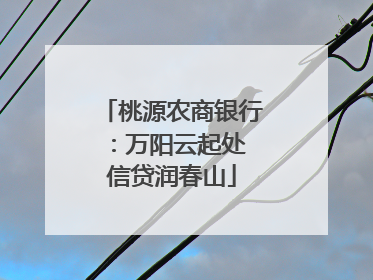 桃源农商银行：万阳云起处 信贷润春山