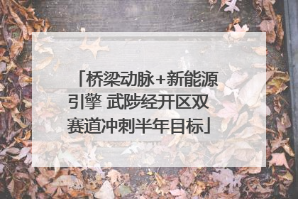 桥梁动脉+新能源引擎 武陟经开区双赛道冲刺半年目标