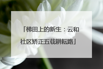梯田上的新生：云和社区矫正五载耕耘路