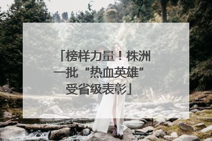 榜样力量！株洲一批“热血英雄”受省级表彰