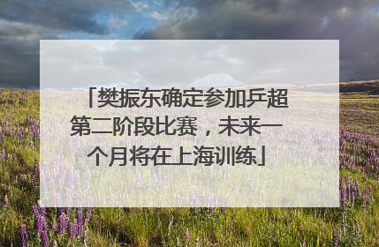 樊振东确定参加乒超第二阶段比赛，未来一个月将在上海训练