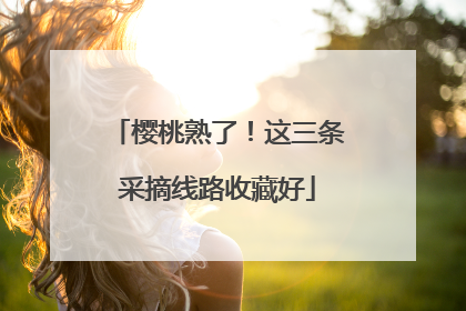 樱桃熟了！这三条采摘线路收藏好