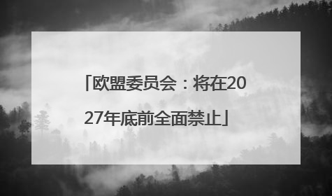欧盟委员会：将在2027年底前全面禁止