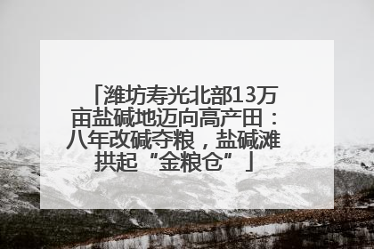 潍坊寿光北部13万亩盐碱地迈向高产田：八年改碱夺粮，盐碱滩拱起“金粮仓”