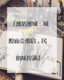 潍坊潍城：城隍庙会重启，民俗味拉满