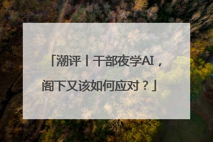 潮评丨干部夜学AI，阁下又该如何应对？