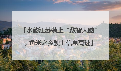 水韵江苏装上“数智大脑”，鱼米之乡驶上信息高速