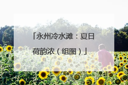 永州冷水滩：夏日荷韵浓（组图）