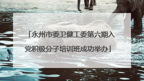 永州市委卫健工委第六期入党积极分子培训班成功举办