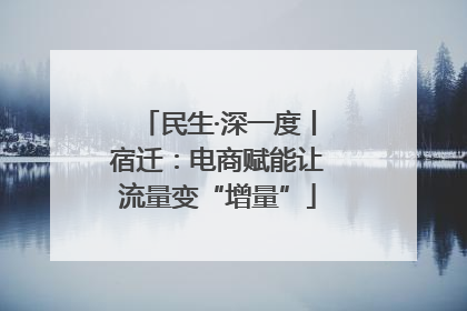 民生·深一度丨宿迁：电商赋能让流量变“增量”