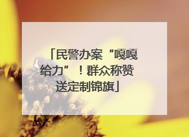 民警办案“嘎嘎给力”！群众称赞送定制锦旗