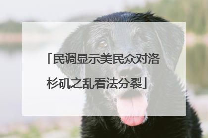 民调显示美民众对洛杉矶之乱看法分裂