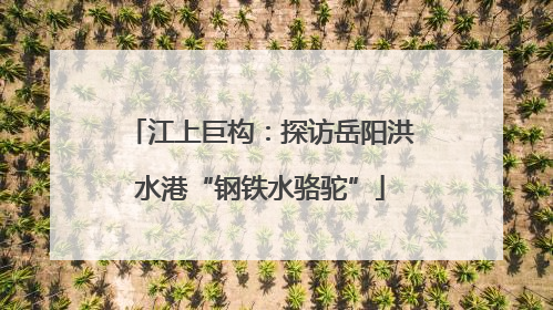 江上巨构：探访岳阳洪水港“钢铁水骆驼”
