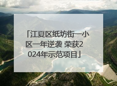 江夏区纸坊街一小区一年逆袭 荣获2024年示范项目