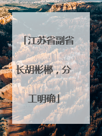 江苏省副省长胡彬郴，分工明确