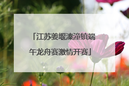 江苏姜堰溱潼镇端午龙舟赛激情开赛